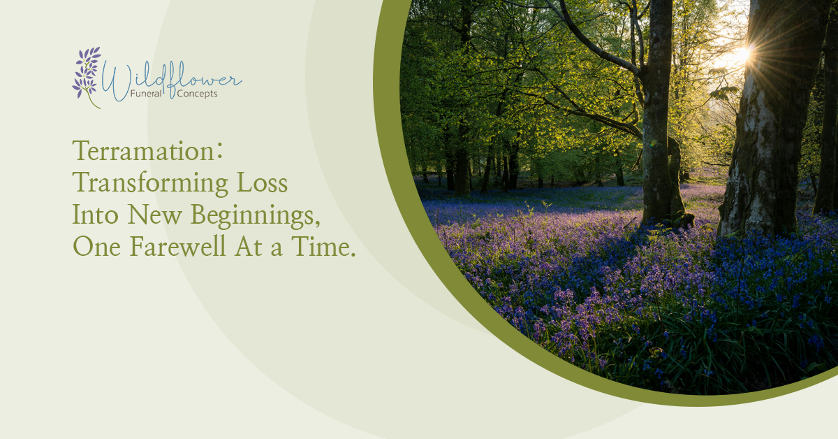 Terramation Transforming Loss into new new Beginnings