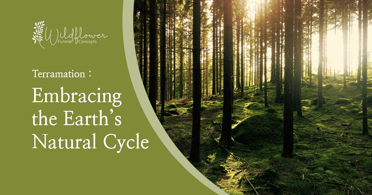 Terramation Embracing the Earths Natural Cycle